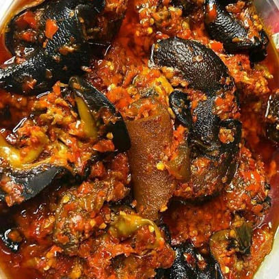 Peppered Snail